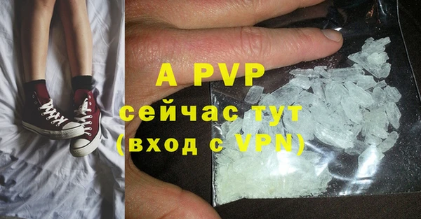 ECSTASY Михайловск